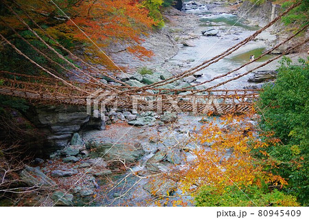 徳島県三好市　祖谷のかずら橋 80945409