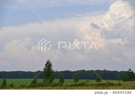 Thunderstorm landscape and cumulus clouds in the field Thunderstorm landscape and cumulus clouds in the field 80945586