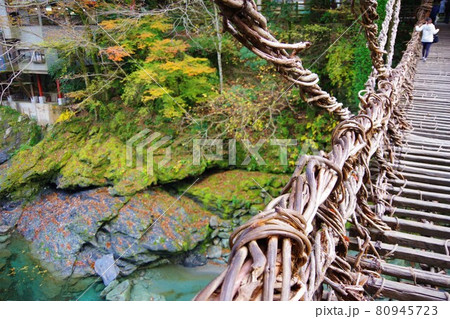 徳島県三好市 かずら橋 徳島県三好市 かずら橋 80945723