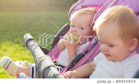 Two hungry little twin girls in a stroller with apples in their hand 80945874