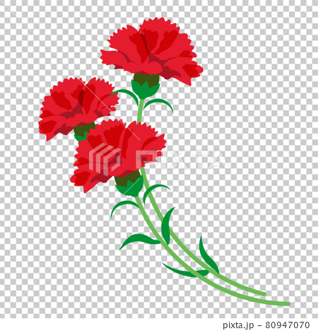 シンプルできれいなカーネーションの花束のイラストのイラスト素材