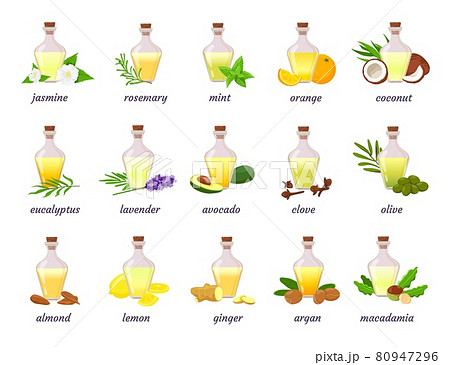 Cosmetic essential oil bottle with herb, fruit and flower. Lavender, argan, coconut and almond nut oils. Aromatherapy or skin oil vector set 80947296