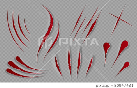 Blood scratches and cuts. Bloody scars and sharp slashes. Ripped wounds by animal paws. Halloween scary decor. Cat claws tracks vector set 80947431