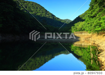 岩手県遠野市　夏の仙人峠 80947930
