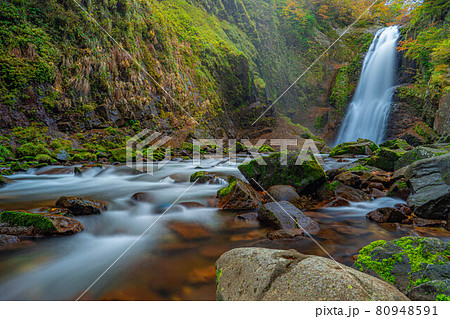 秋の秋保大滝　【宮城県】 80948591