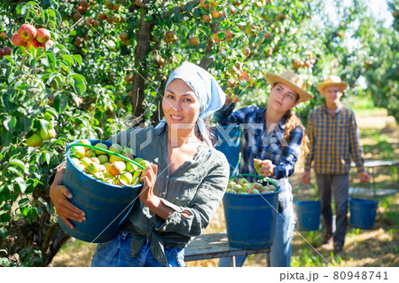 Asian female farmer carrying bucket with pears 80948741
