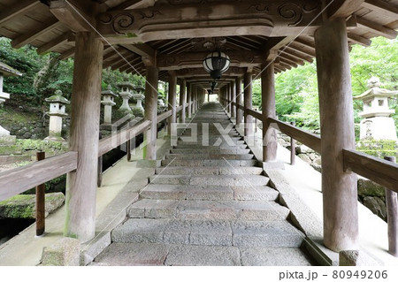 奈良 長谷寺のあじさい 奈良 長谷寺のあじさい 80949206
