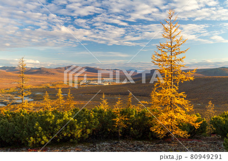 Beautiful autumn landscape 80949291