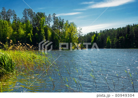 Valaam Island. Lake Ladoga, Republic of Karelia, Russia. 80949304