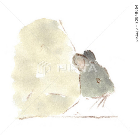 チンチラの隠れんぼ（物影からこちらを窺う）の水彩画（イラスト） 80949664