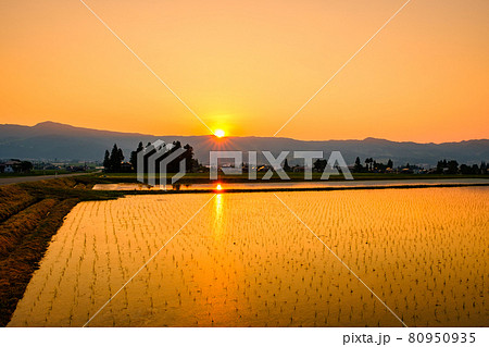 初夏の田園風景(夕暮れ) 初夏の田園風景(夕暮れ) 80950935