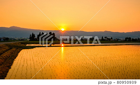 初夏の田園風景（夕暮れ） 80950939