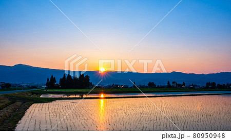 初夏の田園風景(夕暮れ) 初夏の田園風景(夕暮れ) 80950948