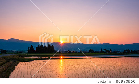 初夏の田園風景(夕暮れ) 初夏の田園風景(夕暮れ) 80950950
