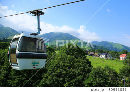 栂池自然園　長野県 80951031