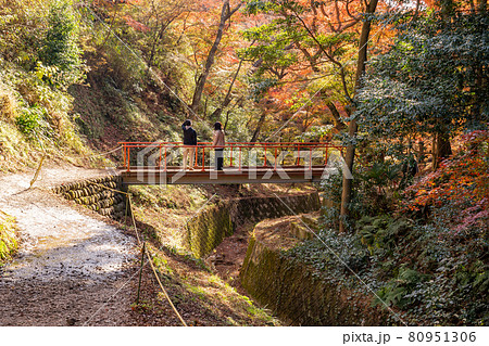 三重県四日市市　秋の宮妻峡の水沢もみじ谷の紅葉を楽しんで散策する人々 80951306