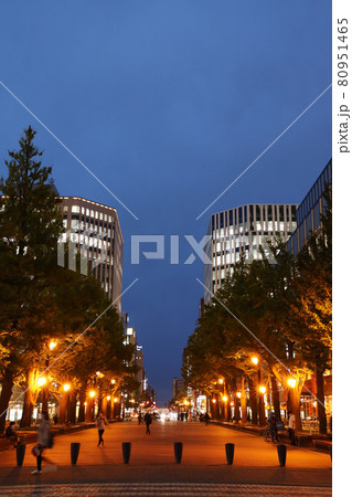 札幌　北3条広場の夜景 80951465