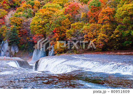吹割の滝（秋） 80951609