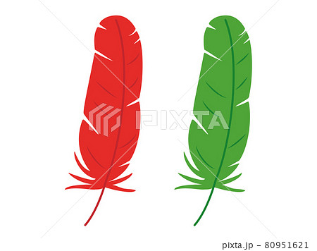 赤い羽根と緑の羽のイラストのセットのイラスト素材