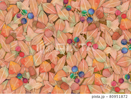 秋の背景 秋の背景 80951872