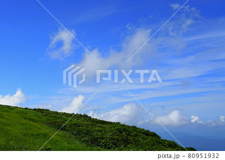 月山弥陀ヶ原　山形県 80951932