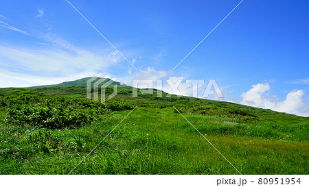 月山弥陀ヶ原　山形県 80951954