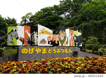 野毛山動物園　看板　入口　動物園　横浜市　動物　日本　神奈川県　野外　観光スポット 80952084