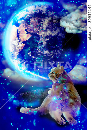 地球の月と猫のイラスト素材 80952146 Pixta