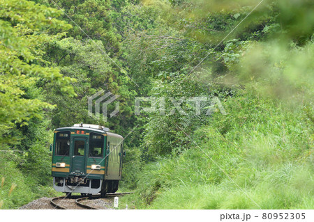 森の中走る信楽高原鐵道の列車 森の中走る信楽高原鐵道の列車 80952305