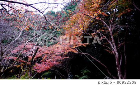 奈良の長岳寺の紅葉 奈良の長岳寺の紅葉 80952508