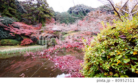 奈良の長岳寺の紅葉 80952511