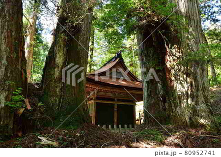 謙信公御廟より 謙信公御廟より 80952741