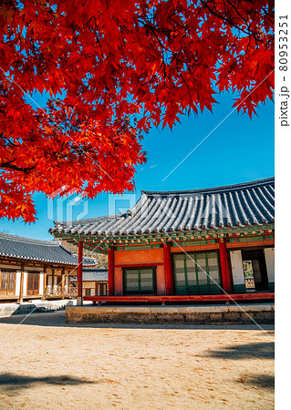 Autumn of Sosuseowon Confucian Academy in Yeongju, Korea Autumn of Sosuseowon Confucian Academy in Yeongju, Korea 80953251