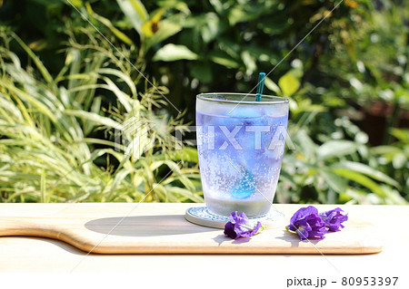 鮮やかな青色の八重咲バタフライピー 鮮やかな青色の八重咲バタフライピー 80953397