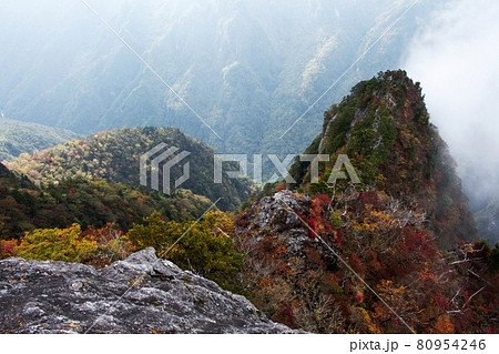 大台ケ原の秋 80954246