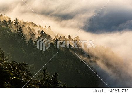 夏の渋峠から夜明けの芳ヶ原と草津白根山の噴煙 夏の渋峠から夜明けの芳ヶ原と草津白根山の噴煙 80954750