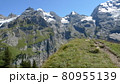 ブリュムリスアルプ2 80955139