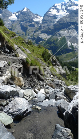 ブリュムリスアルプ3 80955140