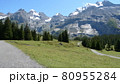 ブリュムリスアルプ4 80955284