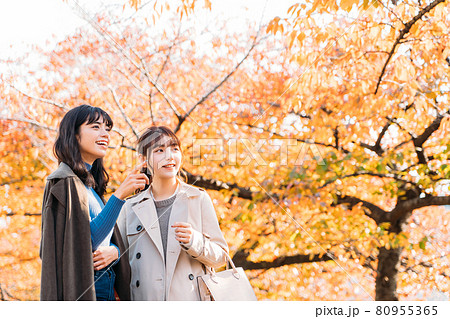 紅葉の季節に旅行をする女性二人 80955365