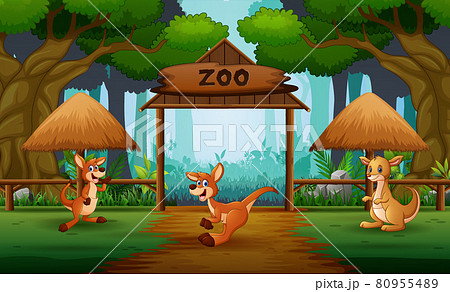 Cartoon three of kangaroos in the open zoo Cartoon three of kangaroos in the open zoo 80955489