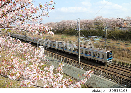 千葉県白井市付近北総線を通る北総鉄道の7500形電車と満開のさくら 千葉県白井市付近北総線を通る北総鉄道の7500形電車と満開のさくら 80958163