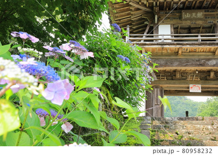 和紫陽花と山寺の山門 80958232