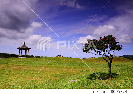青空 青い空 ブルースカイ 80958249