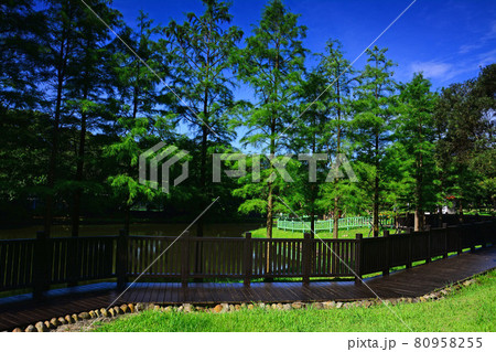 池 溜池 池底 80958255