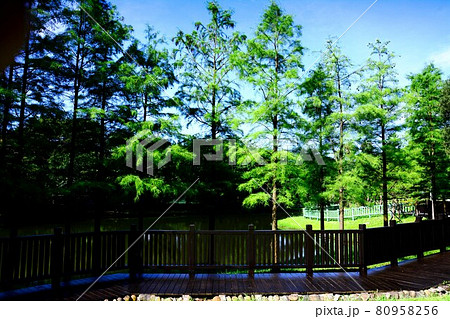 池 溜池 池底 80958256