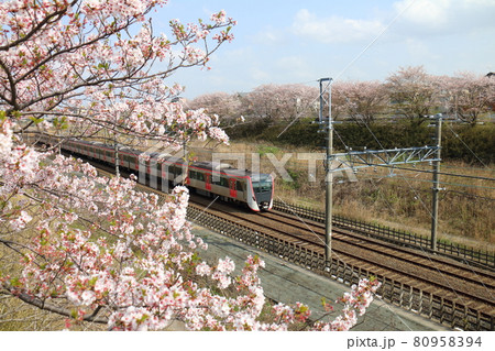 千葉県白井市付近北総線を通る都営地下鉄浅草線の新型車両5500形電車と満開のさくら 80958394