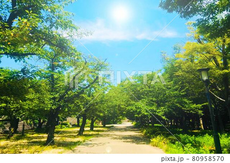 まぶしくさわやかな風景 まぶしくさわやかな風景 80958570