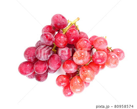 ぶどう　ブドウ　葡萄 80958574