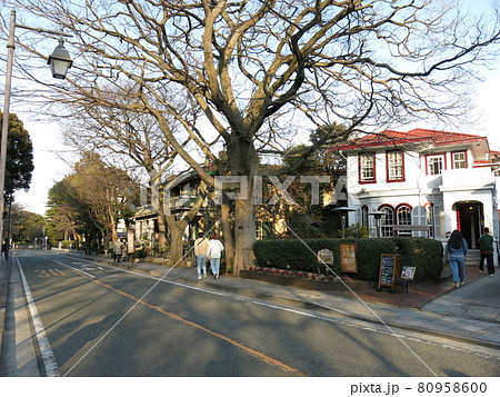 古い洋館が建ち並ぶ横浜の山手本通り（えの木てい・山手234番館付近） 80958600